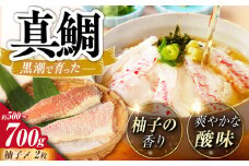 土佐黒潮真鯛の柚子〆　2枚（約500～700g）【株式会社　羽根】 [ATCK016]