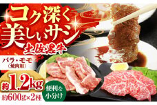土佐黒牛　モモ・バラ焼肉セット　各約200g×3【高知県食肉センター株式会社】 [ATFC008]