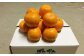 甘酸絶妙味のポンカン　秀品（贈答用）2L【土佐丸咲柑橘園】 [ATFM002]
