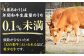 土佐あかうし 焼き肉用カルビ 約500g /和牛 国産和牛 高知県産 高知市 焼肉【株式会社Dorago】 [ATAM041]
