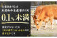 土佐あかうし 満喫セット　サーロイン・もも・うで・リブロース 各300g 計1.2kg / 国産 高知 和牛 牛肉 にく 肉 