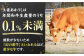 土佐あかうし 塊肉ステーキ 約500g（もも）【株式会社Dorago】 [ATAM046]