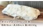 自家製酵母使用　年末年始まで楽しめる “パン工房だんだん" オリジナルシュトレン” 1本 約350g 高知特産文旦ジャム・6種類