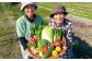 【4回定期便】高知県産 土佐季節の野菜詰め合せセット/3ヵ月に1回 野菜 定期 お野菜 高知 やさい 季節もの【香稜苑】 [AT