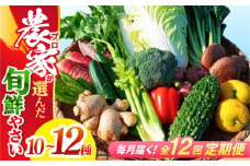 【12回定期便】高知県産 土佐季節の野菜詰め合せセット/毎月 野菜 定期 お野菜 高知 やさい 季節もの【香稜苑】 [ATBQ012] 訳あり 不揃い 規格外