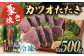 藁焼き　カツオのタタキ1節セット(冷凍)約500g 3～4人前【土佐黒潮水産】 [ATCQ014]