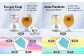 SOUTH HORIZON BREWING クラフトビール (350mL缶) 飲み比べ6本セット (6種類)/高知地ビール クラ