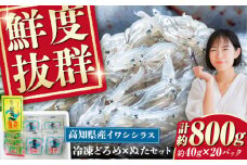 冷凍 生しらす（どろめ）約40g×20パック（ぬた付き）/真空パック イワシ シラス 魚 どろめ ぬた 冷凍 高知【春野町漁業協同組合】 [ATGA001]