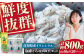 冷凍 どろめ・ぬたセット 約40g×20パック/真空パック イワシ シラス 魚 どろめ ぬた 冷凍 高知【春野町漁業協同組合】 
