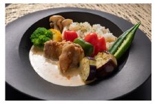 和風なココナッツカレー＆和風なココナッツ 土佐鰹カレー セット 各2パック 【ふきのとう】 [ATGP001]