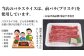高知県産 黒毛和牛 バラスライス 約500g 高知 土佐和牛 お肉 牛肉  ギフト 贅沢　【焼肉寛十郎】 [ATDO005]