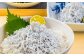 釜揚げ龍馬しらす 約250g×4パック　【株式会社　七和】 [ATAX018]