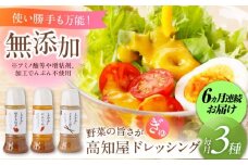 【6回定期便】素材力 高知屋 無添加ドレッシング3本セット (人参、焼き玉ねぎ、ごまとごぼう)  【株式会社 四国健商】 [ATAF126] 国産 野菜 ドレッシング 万能ドレッシング 調味料 料理 タレ 和風 洋風 万能調味料
