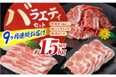 【9回定期便】お肉の定期便 バラエティセット (9ヵ月) 総計約13.5kg 国産 牛肉 切り落とし 豚肉 バラ スライス 【(有)山重食肉】 [ATAP117]