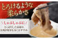 【6回定期便】高知県産 よさこい和牛 上赤身 しゃぶしゃぶ用 約500g 総計約3kg 牛肉 すきやき 国産 肉 A4 A5 薄