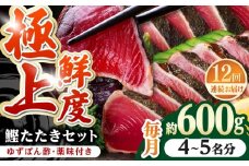 【12回定期便】土佐料理司本店 鰹たたき2節セット（4〜5名分） / かつお 鰹 カツオ かつおのたたき 高知市【株式会社土佐料理司】 [ATAD055]