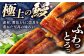 うなぎ 鰻 ウナギ  国産 うなぎ蒲焼 高知 うな重 うな丼 ひつまぶし 鰻蒲焼き
