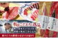 かつお 鰹 カツオ たたき カツオたたき カツオのたたき 高知 本場 
