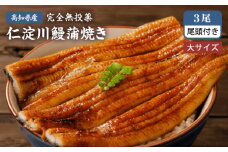 高知県産うなぎ蒲焼き 大3尾 合計約600g【池澤鮮魚オンラインショップ】 完全無投薬 仁淀川 国産 うなぎ蒲焼き ギフトセット うな重 ひつまぶし ウナギ 蒲焼 蒲焼き 鰻蒲焼き うなぎ 高知県 高知市 土佐 鰻 おすすめ ウナギ 贈り物 贈答 [ATBE021]