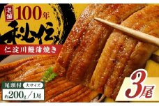 高知県産うなぎ蒲焼き 大3尾 合計約600g【池澤鮮魚オンラインショップ】 完全無投薬 仁淀川 国産 うなぎ蒲焼き ギフトセット うな重 ひつまぶし ウナギ 蒲焼 蒲焼き 鰻蒲焼き うなぎ 高知県 高知市 土佐 鰻 おすすめ ウナギ 贈り物 贈答 [ATBE021]