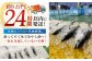 冷凍していない生鰹 高知県産 土佐久礼 藁焼き生鰹たたき 約350g 魚介類 魚 お魚 刺身 初鰹 戻り鰹 [ATBE027]
