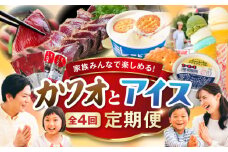 【4回定期便】カツオとアイス 定期便 / カツオ 食べ比べ 鰹のセット ご当地アイス 高知アイス [ATZX020]