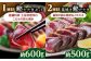 【6回定期便】カツオとアイス 定期便〈2025年2月から発送開始〉 /カツオ 食べ比べ 鰹のセット ご当地アイス 高知アイス [