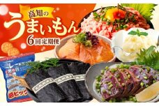 【6回定期便】高知のうまいもん定期便 /カツオ 食べ比べ ネギトロ 土佐和牛 高知 海苔 ミレービスケット ご当地アイス 高知アイス [ATZX023]