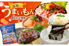 【6回定期便】高知のうまいもん定期便 /カツオ 食べ比べ ネギトロ 土佐和牛 高知 海苔 ミレービスケット ご当地アイス 高知アイス [ATZX023]