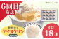 【6回定期便】高知のうまいもん定期便 /カツオ 食べ比べ ネギトロ 土佐和牛 高知 海苔 ミレービスケット ご当地アイス