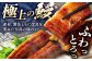 かつお 鰹 カツオ たたき うなぎ 鰻 ウナギ 高知 本場 