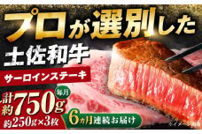 【6回定期便】土佐黒毛和牛 サーロインステーキ (約250g×3枚) 総計約4.5kg 【株式会社 四国健商】 [ATAF129] すてーき ステーキ肉 牛肉 国産 ブランド 和牛 黒毛和牛