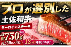 【12回定期便】土佐黒毛和牛 サーロインステーキ (約250g×3枚) 総計約9kg 【株式会社 四国健商】 [ATAF130] すてーき ステーキ肉 牛肉 国産 ブランド 和牛 黒毛和牛