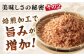 かつお カツオ かつおぶし カツオ節 だし 小分け 定期便 高知　料理