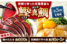 【3回定期便】規格外カツオたたき 約600g＋真鯛漬け丼の素 約80g×5パック 【興洋フリーズ株式会社】 [ATBX119]