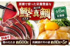 【6回定期便】規格外カツオたたき 約600g＋真鯛漬け丼の素 約80g×5パック 【興洋フリーズ株式会社】 [ATBX120]