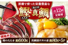 【12回定期便】規格外カツオたたき 約600g＋真鯛漬け丼の素 約80g×5パック 【興洋フリーズ株式会社】 [ATBX121]