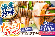 【3回定期便】高知県産 ウツボのタタキ 約350g~400g 総計約1.05kg〜1.2kg 【株式会社 四国健商】 [ATAF140] うつぼ 高知名物 珍味 コラーゲン 高タンパク