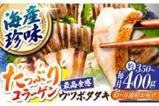 【6回定期便】高知県産 ウツボのタタキ 約350g~400g 総計約2.1kg〜2.4kg 【株式会社 四国健商】 [ATAF141] うつぼ 高知名物 珍味 コラーゲン 高タンパク