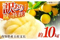 【先行予約】高知県産 訳あり 土佐文旦 約10kg 〈2026年2月〜発送〉 / 傷 シミ 訳アリ 訳あり わけあり 大容量 ぶんたん 文旦 土佐文旦 果物 柑橘 フルーツ デザート 期間限定 数量限定 季節限定 高知 【株式会社　四国健商】 [ATAF038] 