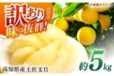 【先行予約】高知県産 訳あり 土佐文旦 約5kg 〈2026年2月〜発送〉 / 傷 シミの訳アリ  大容量 ぶんたん 文旦 訳あり わけあり 果物 【株式会社　四国健商】 [ATAF149]