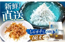 しらす干し（約500g）と佃煮（約110g）セット/森国商店 浜で瞬時に釜出し 高知のしらす【グレイジア株式会社】 [ATAC485]