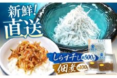 しらす干し（約500g）と佃煮（約100g）セット/森国商店 浜で瞬時に釜出し 高知のしらす【グレイジア株式会社】 [ATAC485]