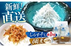 しらす干し（約1kg）と佃煮（約100g）セット/森国商店 浜で瞬時に釜出し 高知のしらす【グレイジア株式会社】 [ATAC486]
