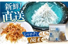 しらす干し（約1.5kg）と佃煮（約165g）セット /森国商店 浜で瞬時に釜出し 高知のしらす【グレイジア株式会社】 [ATAC487]