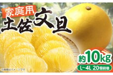 【訳あり】高知県産 土佐文旦 ご家庭用 約10kg（20玉前後）〈2025年3月上旬〜発送〉/味や品質には問題なし！皮に擦れや傷あり 訳アリ 高知 土佐 文旦 柑橘 家族 【SHOP KEYYA】 [ATAO010]