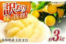 【先行予約】高知県産 訳あり 土佐文旦 約3kg 〈2026年2月〜発送〉 / 傷 シミの訳アリ  大容量 ぶんたん 文旦 訳あり わけあり 果物 【株式会社　四国健商】 [ATAF151]
