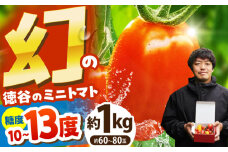 【先行予約】 徳谷はじまりトマトのミニトマト 約1kg ミックス〈2026年3月～発送〉 /ミニ プチ トマト 高糖度 高知トマト 【株式会社Dorago】 [ATAM051]