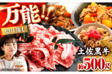 土佐黒牛　切り落し　約500g【高知県食肉センター株式会社】 [ATFC020]