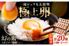 土佐ジロー鶏卵 20個 （10個×2パック）/ 高知 土佐 土佐ジロー 卵 たまご 玉子 鶏卵 卵焼き たまご焼き 玉子焼き 目玉焼き 生卵 卵かけご飯 TKG ギフト 贈り物 【とさやま養鶏場】 [ATHB001]